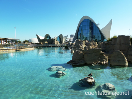 El Oceanogràfic, Valencia